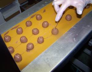 Chocolatier Labeling Gourmet Chocolate Flavors