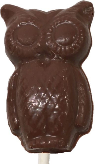 Milk Chocolate Sucker Big Eye Owl