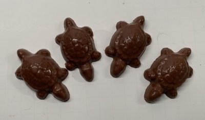 Molded Chocolate Turtles